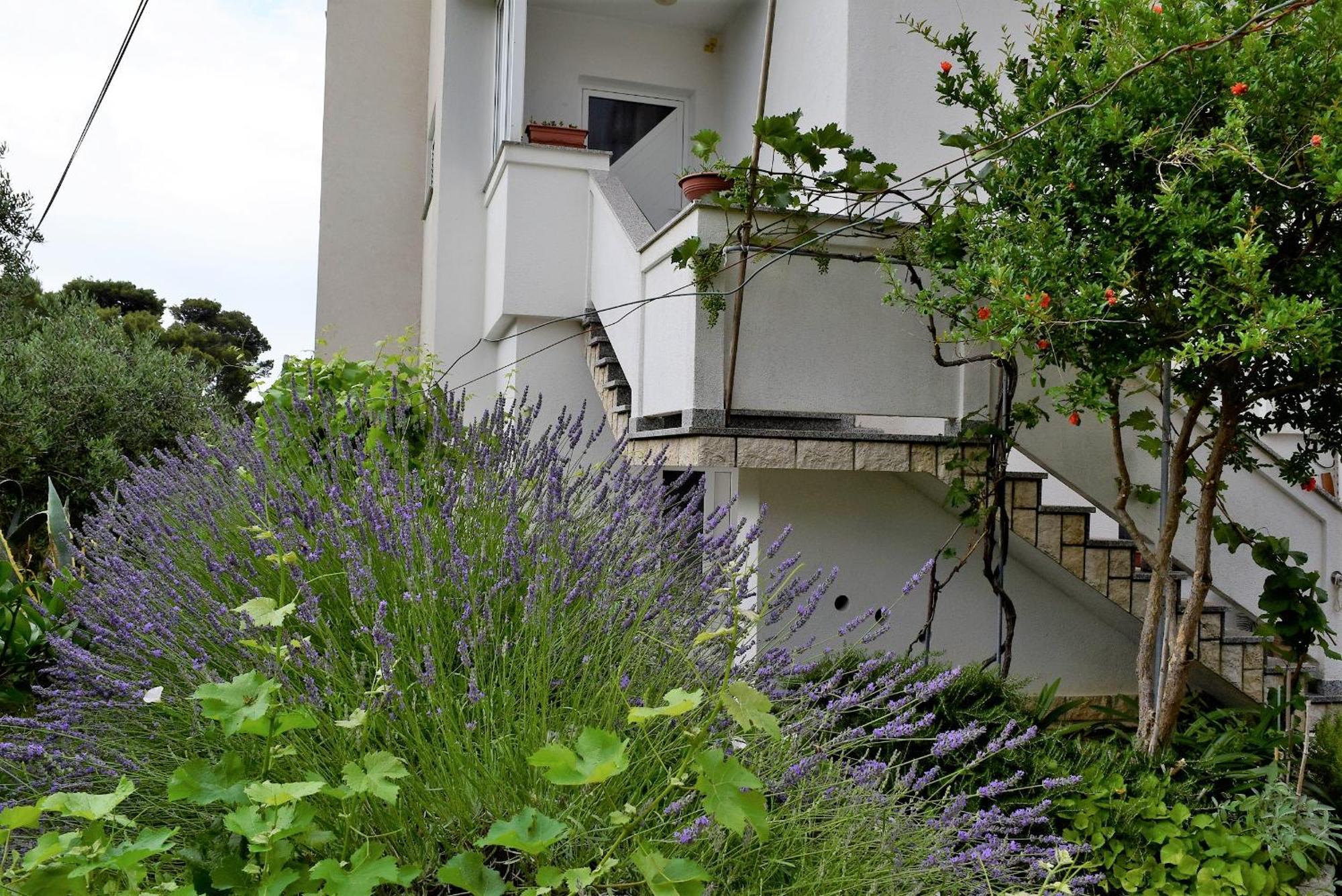 Sunnyy Beacch Apartments Banjol Cameră foto